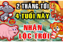 Nhận lộc Trời ban cá Chép hóa Rồng: 3 tuổi đổi đời giàu có, 2 tuổi giàu ú ụ