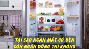 Vì sao ngăn mát tủ lạnh có đèn, ngăn đá thì không, nhiều người chưa biết câu trả lời chuẩn