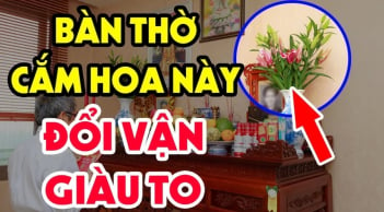 Cúng rằm đừng chỉ chọn mỗi hoa cúc: Có 1 loại này toả hương hút lộc, thần Tài cũng theo về