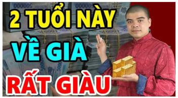 Ngu ngơ hưởng thái bình: 2 tuổi Lộc Trời rơi trúng đầu đếm tiền mỏi tay, 1 tuổi sớm thành đại gia