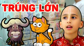 Chạy đâu thoát khỏi số Trời: 3 tuổi tiền vào như nước từ tháng 4 tới tháng 6 Dương, 1 tuổi giàu ú ụ