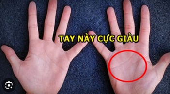 Người có 3 loại chỉ tay này dù nam hay nữ đều phú quý, cả đời không thiếu tiền tiêu