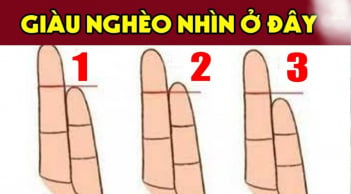 Đo độ dài ngón út: Giàu nghèo, phú quý hưởng đến đâu đều rõ cả