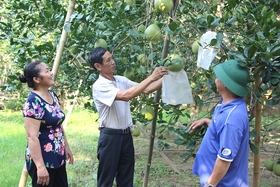 Sử dụng hiệu quả bền vững đất nông nghiệp