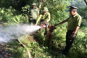 Chủ động phòng, chống cháy rừng khi nắng nóng