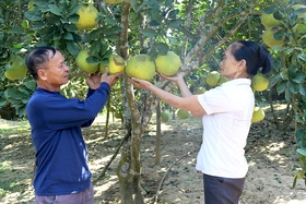 Hỗ trợ phát triển nông nghiệp