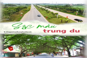 Sắc màu trung du