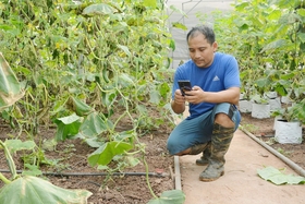 Thúc đẩy kinh tế số phát triển