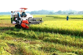 Utilizing science and technology in agricultural production