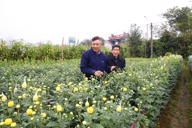 Phuong Vien flower village