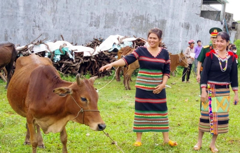 Tặng bò giống cho một hộ nghèo dân tộc thiểu số