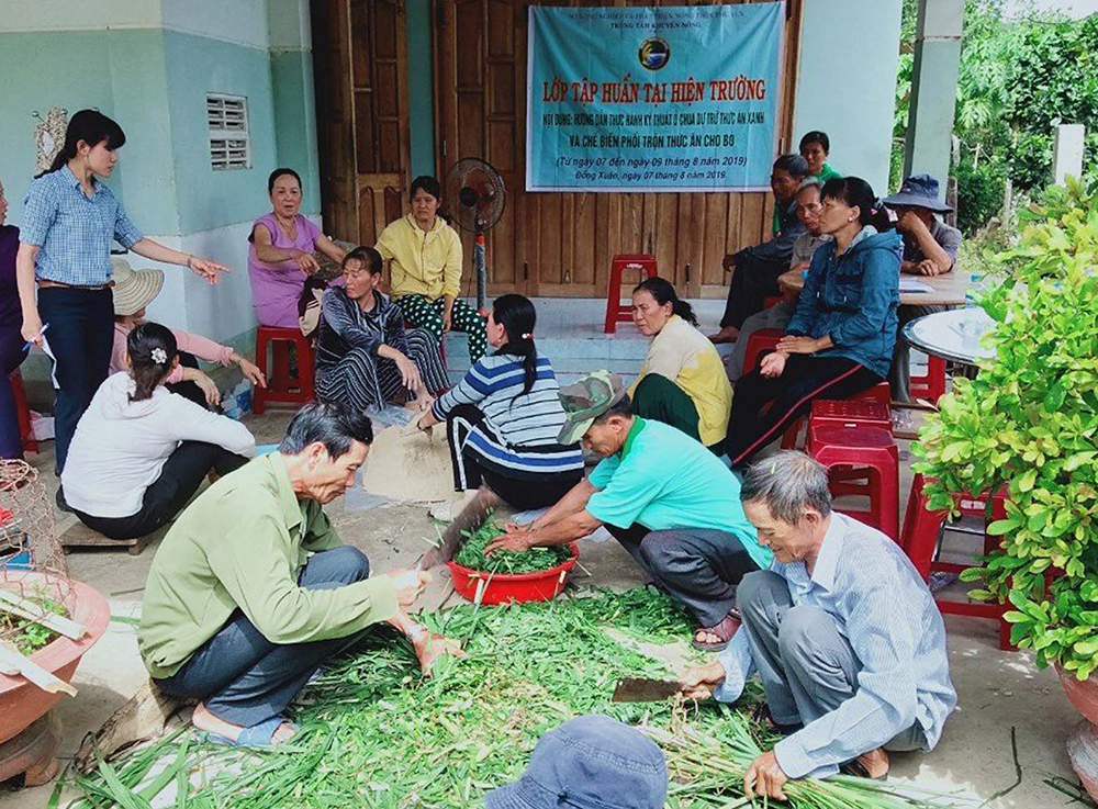 Nỗ lực giảm phát thải khí nhà kính từ chăn nuôi