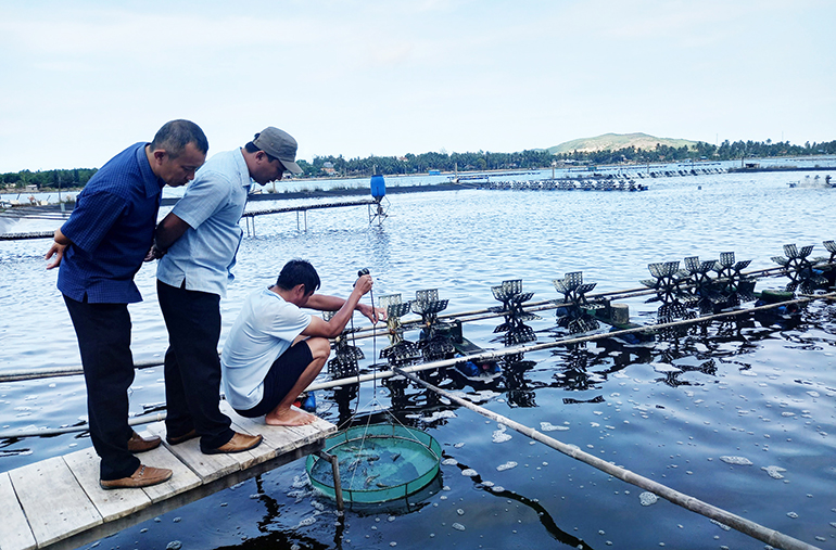 Xây dựng nông thôn mới: Giai đoạn mới, thách thức mới