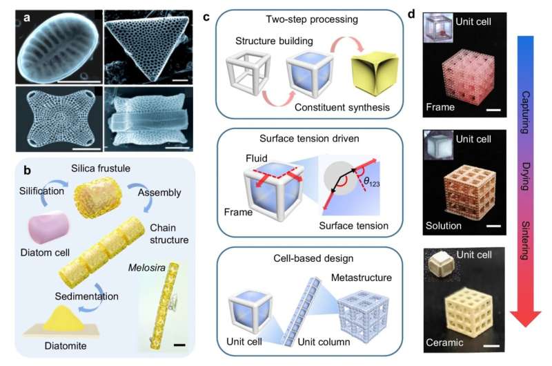 Các nhà nghiên cứu phát triển phương pháp sáng tạo để đơn giản hóa quá trình sản xuất đồ gốm tế bào