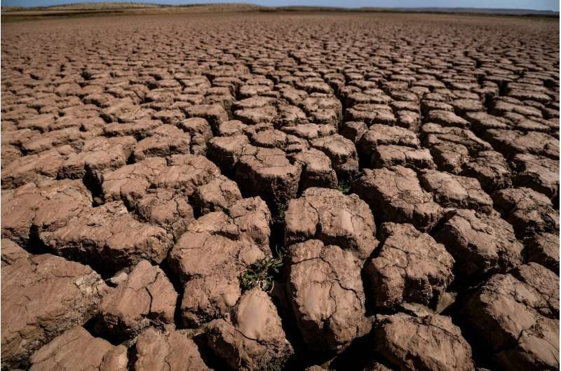 Planet 'on the brink', with new heat records likely in 2024: UN