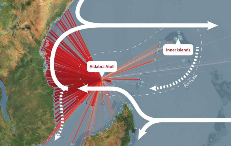 A coral superhighway in the Indian Ocean