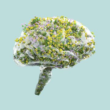 Spring Clean Your Brain: Your Beginner’s Guide