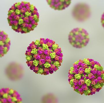 What You Need to Know About Norovirus