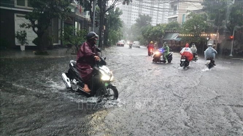 Đà Nẵng: Di dời hàng nghìn người dân khỏi vùng ngập lụt do mưa lớn