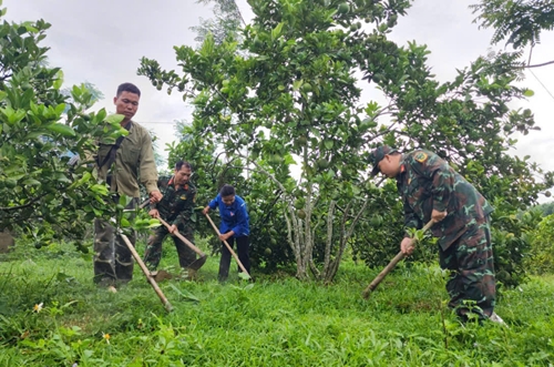 Nỗ lực tìm cách giúp dân