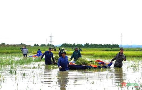 Tạo lập vành đai bảo vệ Kho J102 từ hàng rào lòng dân