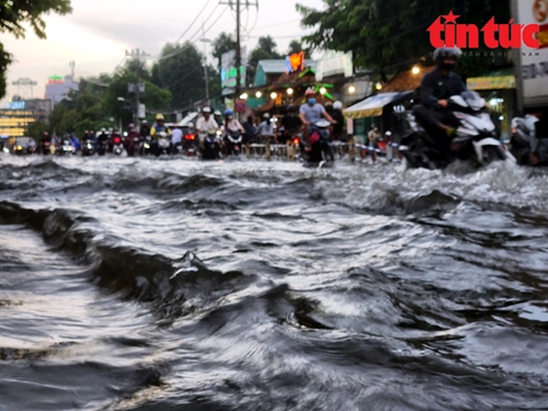 Thành phố Hồ Chí Minh chủ động ứng phó đợt triều cường lên cao xấp xỉ mức báo động III