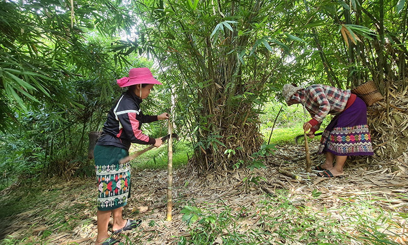 Lễ mở cửa rừng của đồng bào Bru-Vân Kiều