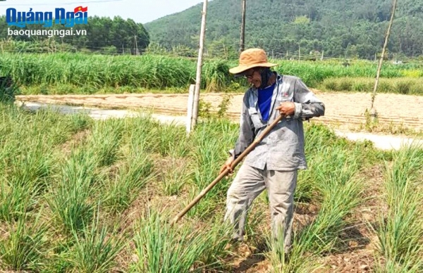 Thoát nghèo nhờ vốn tín dụng chính sách