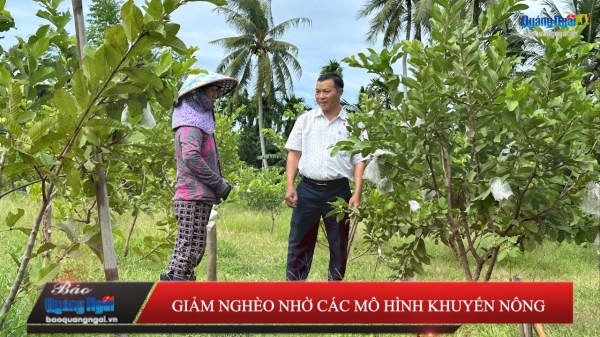 [Video]. Giảm nghèo nhờ các mô hình khuyến nông