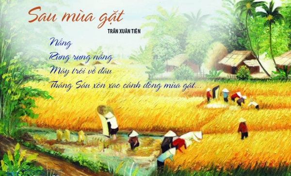 Sau mùa gặt