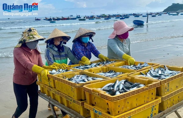 Chợ cá ở Châu Thuận Biển