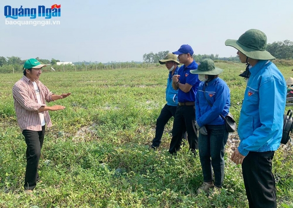 Hỗ trợ thanh niên khởi nghiệp