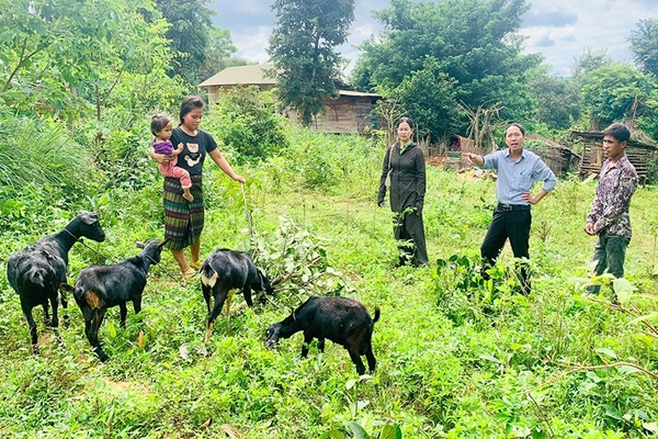 Lan tỏa mô hình “Dân vận khéo” phát triển kinh tế ở Tân Lập