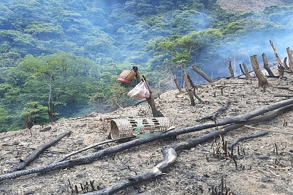 Quang Tri promotes digitalization in forest protection