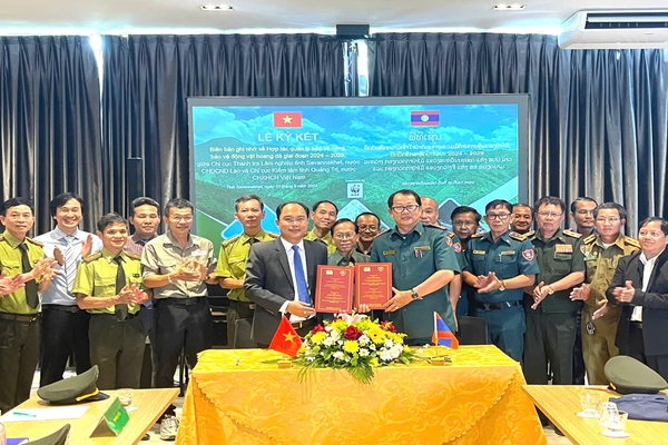 Quang Tri and Lao provinces promote cooperation in forest protection