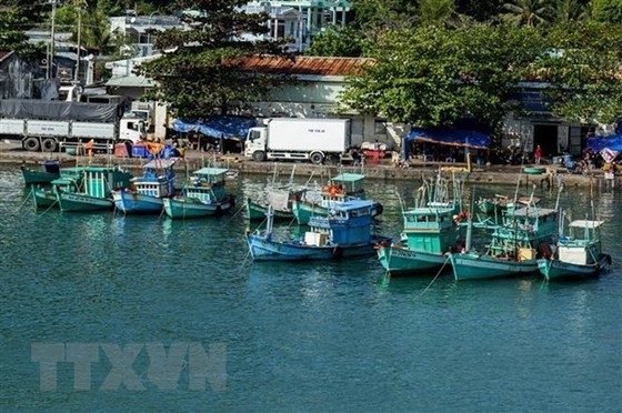 Vì mục tiêu gỡ 'Thẻ Vàng' IUU trong khai thác thủy hải sản