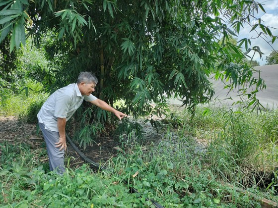 Người dân bức xúc vì trại heo, bò gây ô nhiễm môi trường