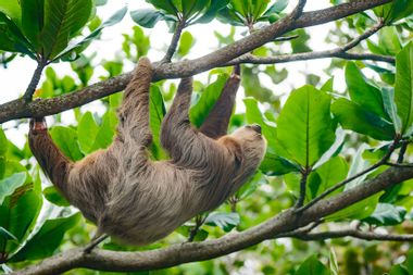 Sự căng thẳng do khí hậu thay đổi