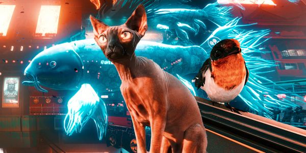 Việc thiếu thú cưng trong Cyberpunk 2077 là điều hợp lý nhưng nó phức tạp hơn bạn nghĩ