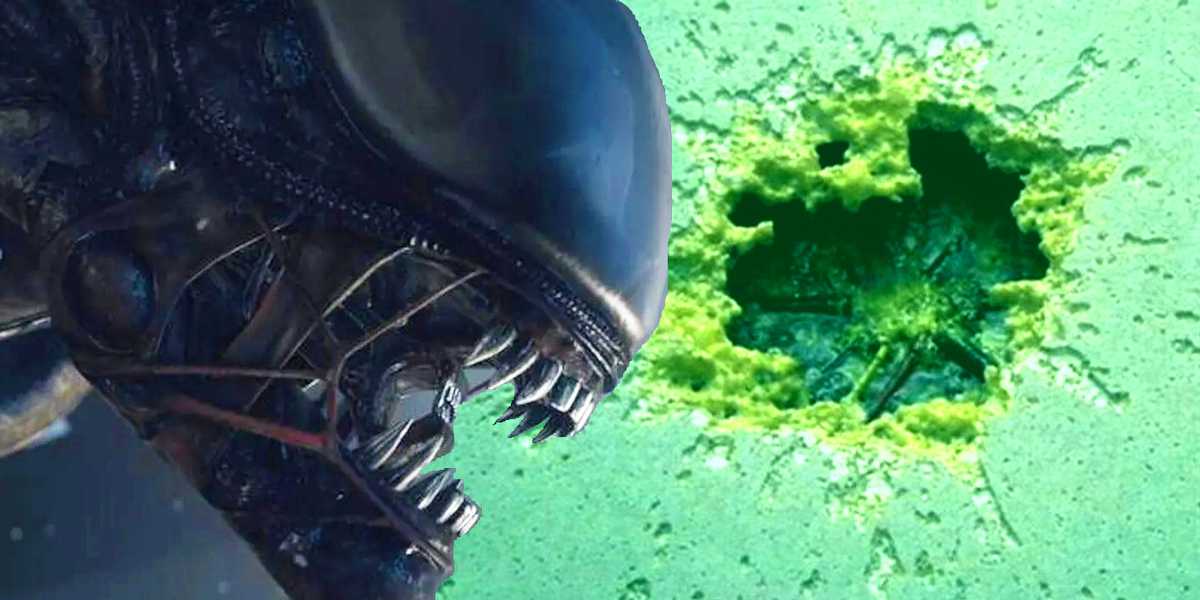 Alien thay đổi Franchise Forever với 1 tiết lộ mới về máu Xenomorphs