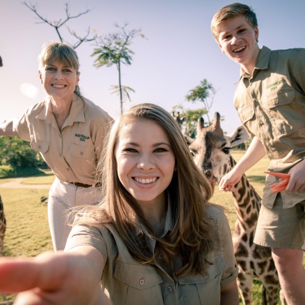 Con gái của Bindi Irwin ôm lấy "Magic" của sở thú Úc trong một bức tranh mới