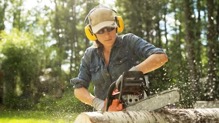 5 Top Rated Chainsaws You Can Find At Harbor Freight