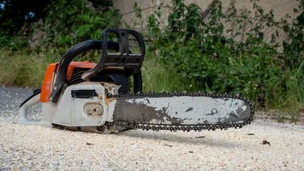 How To Properly Clean A Chainsaw Chain