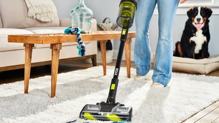 4 Sản phẩm của Ryobi Để giúp dọn dẹp các thú vật của bạn