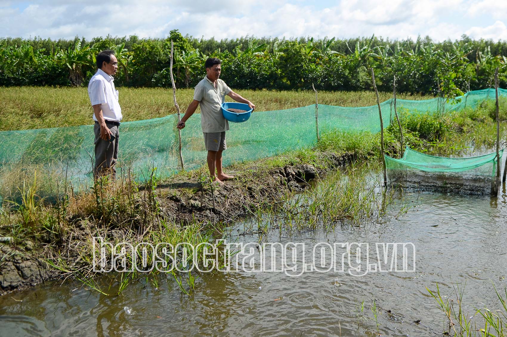 Phấn đấu phát triển toàn diện về chính trị, kinh tế, văn hóa, xã hội