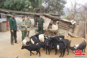 Cựu chiến binh giúp nhau làm giàu