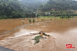 Chủ động ứng phó với mưa lớn