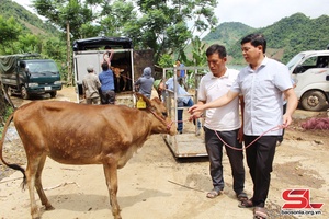 Hỗ trợ sản xuất, nâng cao đời sống cho đồng bào các dân tộc