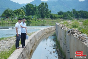 Phát huy vai trò các công trình thủy lợi