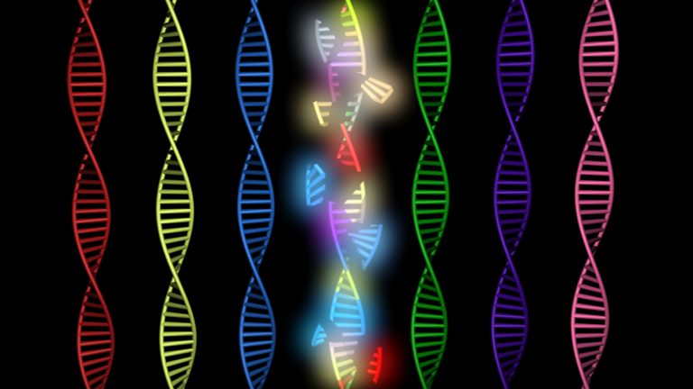 Một thuật toán mới tiết lộ 'kho báu' CRISPR